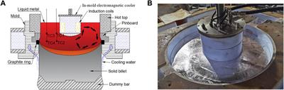 Grain Size and Macrosegregation Control of Large-Sized AA2219 Billets by Internal Electromagnetic Stirring in DC Casting